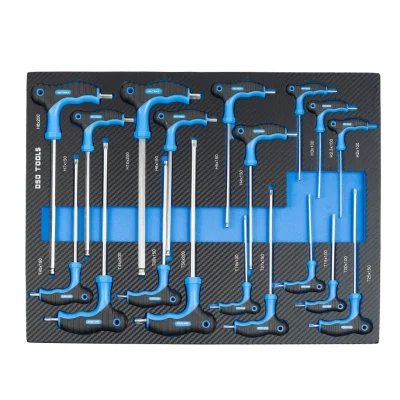 18pc T Handle Set Torx & Hex In Eva Carbon Foam Tray